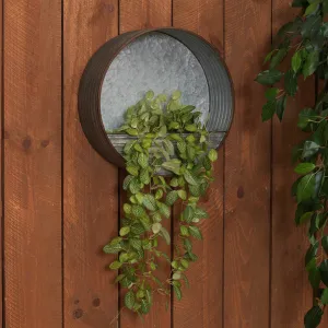 15.7 in. Round Galvanized Metal Hanging Wall Planter