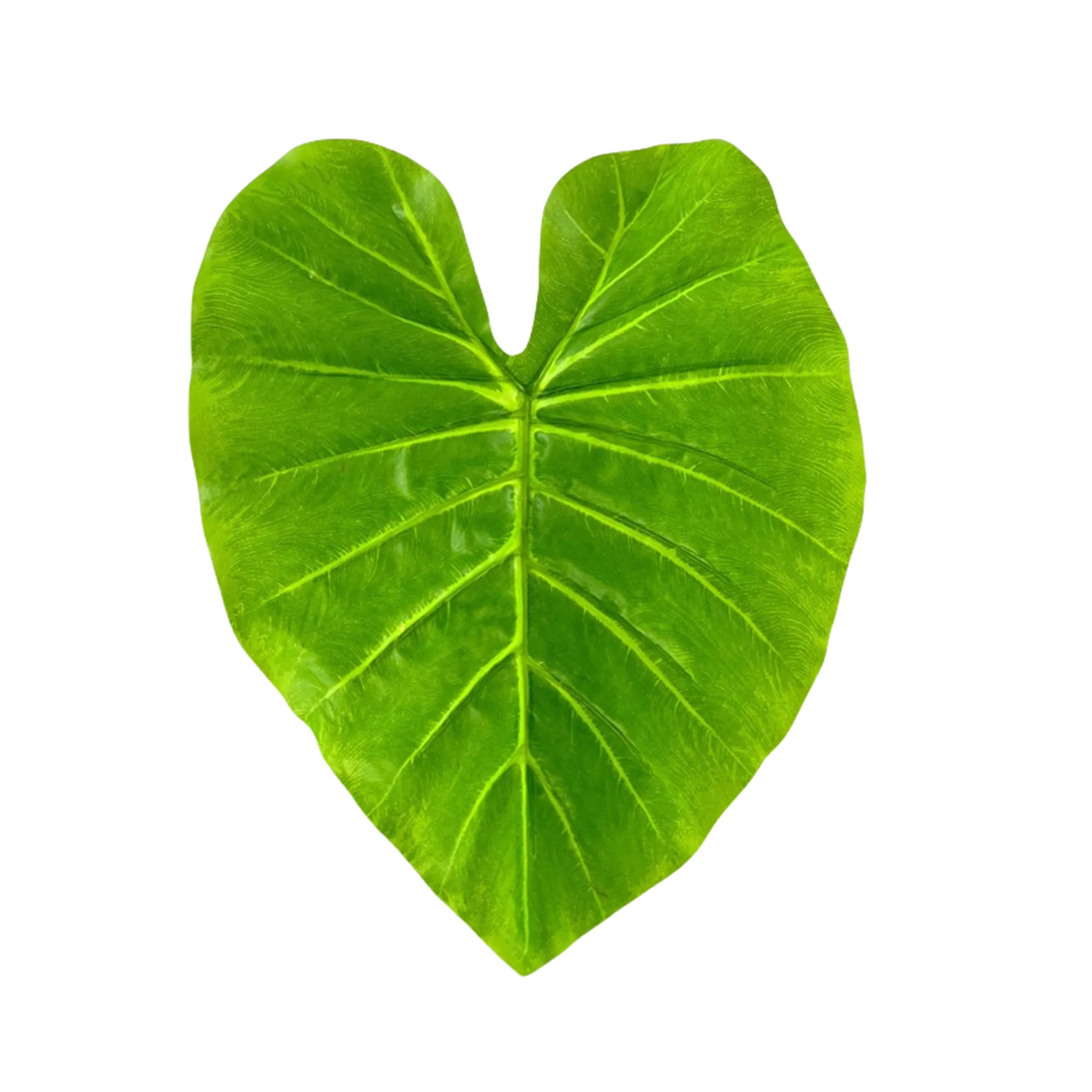 Bulk 10pcs Elephant Leaf Artificial Leaves for Cake Presentation & Packaging Wholesale