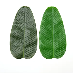 Bulk 20pcs Banana Leaves for Party Cake Presentation & Packaging Wholesale