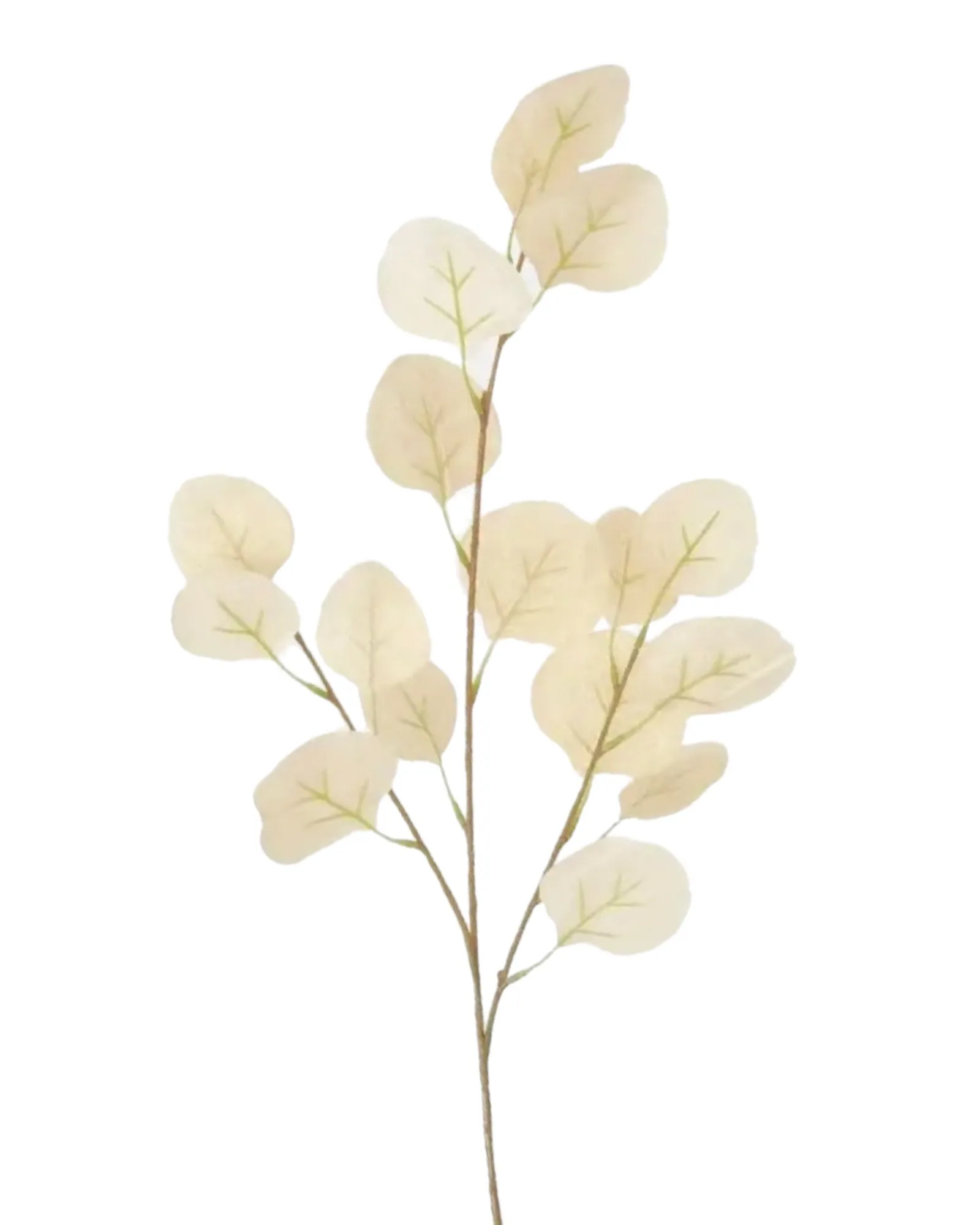 Faux Foliage - White Eucalyptus Stem