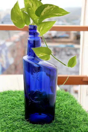 Money plant Vase | Living Room plant Pots | Home Décor Glass Bottle | Indore Blue Glass Bottle | Flower Vase | Table Top Glass Vase | Decorative Flower Pots | Decor Showpiece Bottle | Round Shape Vase